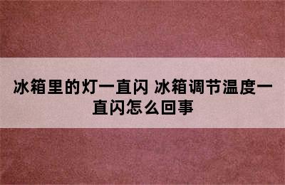 冰箱里的灯一直闪 冰箱调节温度一直闪怎么回事